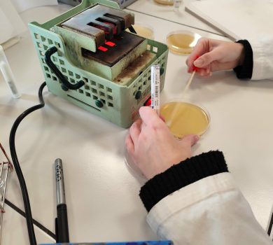 Élève manipulant une boîte de Petri et réalisant un ensemencement bactérien à l’aide d’un instrument chauffant dans le cadre d’un projet technologique en STL