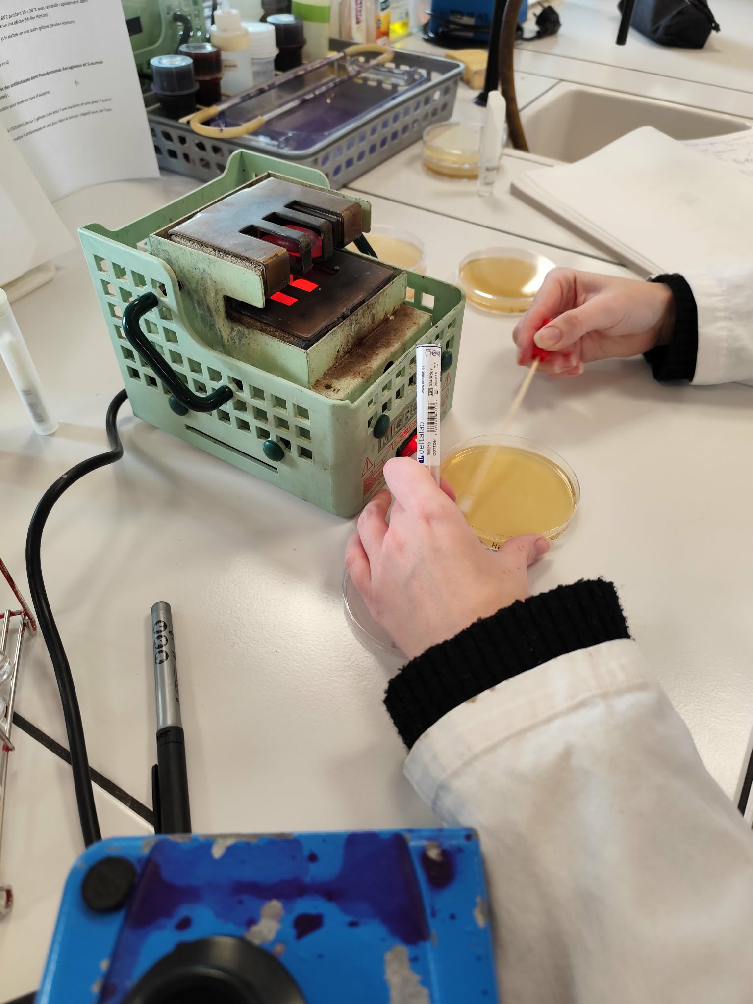 Élève manipulant une boîte de Petri et réalisant un ensemencement bactérien à l’aide d’un instrument chauffant dans le cadre d’un projet technologique en STL
